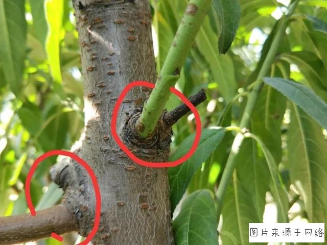 没有山崎贤人真清爽!真人版《ReLIFE》视觉图公布_熊猫体育首页(图3) 熊猫体育公司