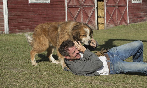 【熊猫体育首页】菲律宾对9名被扣押中国渔民做宣判 每人罚款10.3万美元(图1) 熊猫体育首页