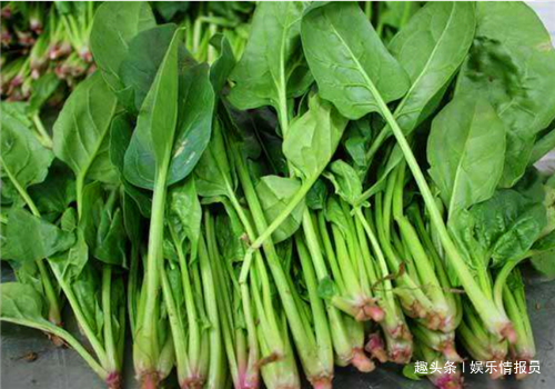 越乖的孩子,长大越让人操心“熊猫体育”(图1) 熊猫体育公司