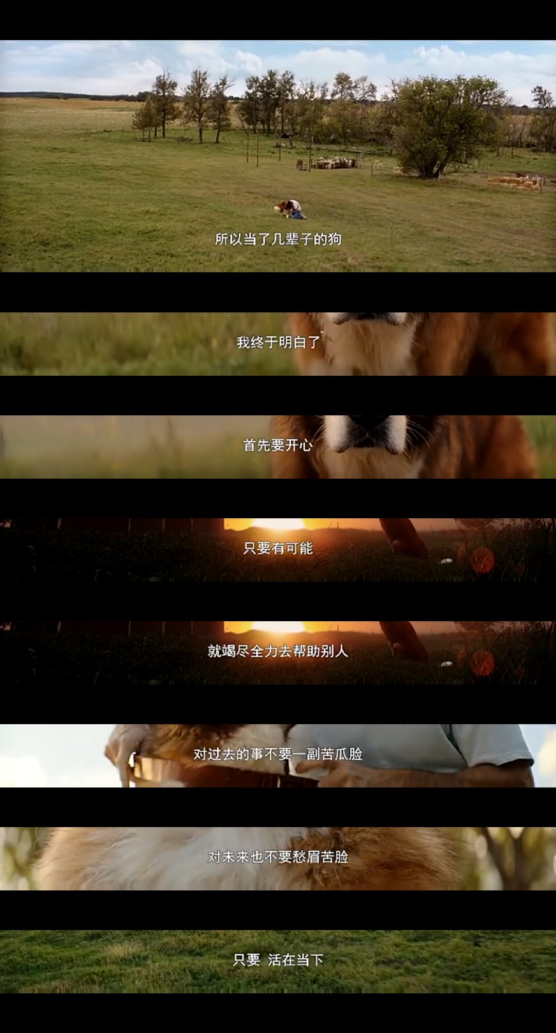 熊猫体育-《紫罗兰永恒花园外传》国内定档什么时候?确定引进(图1) 熊猫体育公司