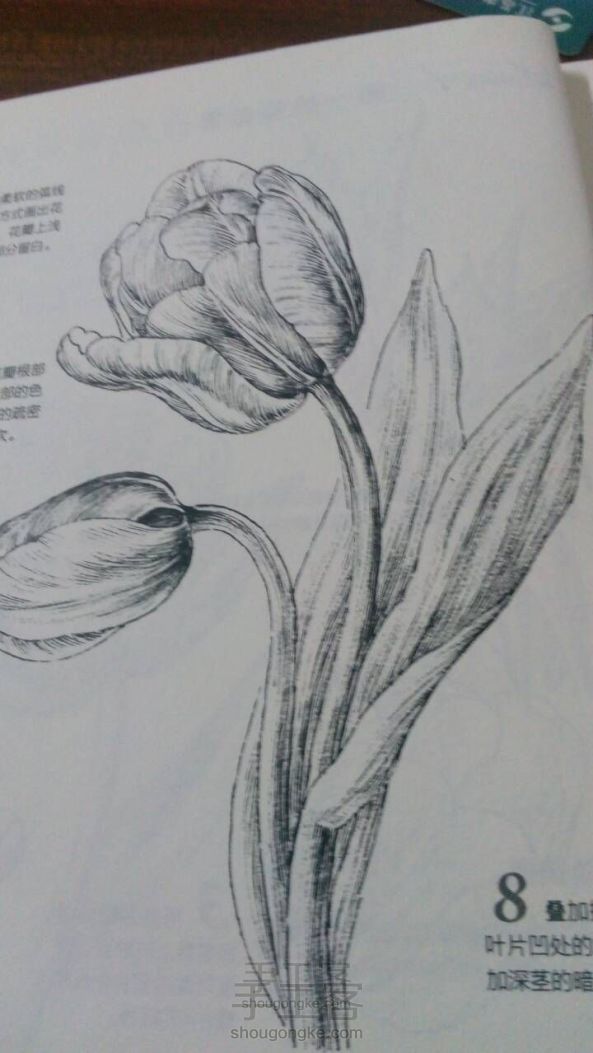 安倍抵达北京后将与普京会晤 或商讨俄日合作等问题:熊猫体育公司(图2) 熊猫体育首页