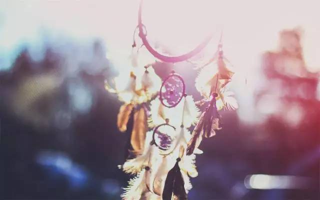 ‘熊猫体育’全球暖化致北极海冰溶解 北极熊数量恐减少超3成(图1) 熊猫体育