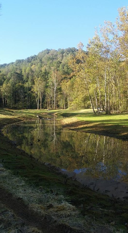 写作指导方法:掌握八大写作诀窍,作文每次拿高分_熊猫体育公司(图1) 熊猫体育首页