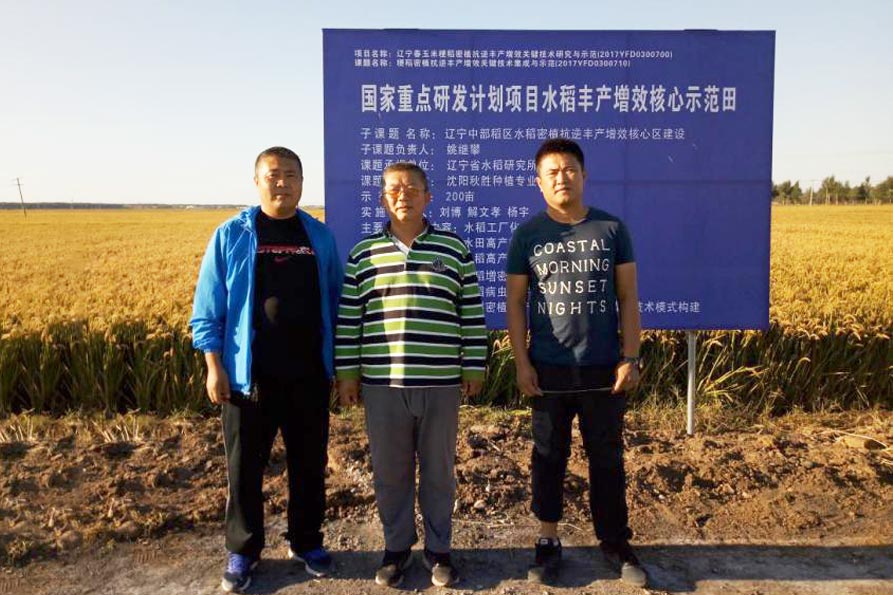 申请美国研究生收到拒信后如何应对|熊猫体育公司(图3) 熊猫体育公司