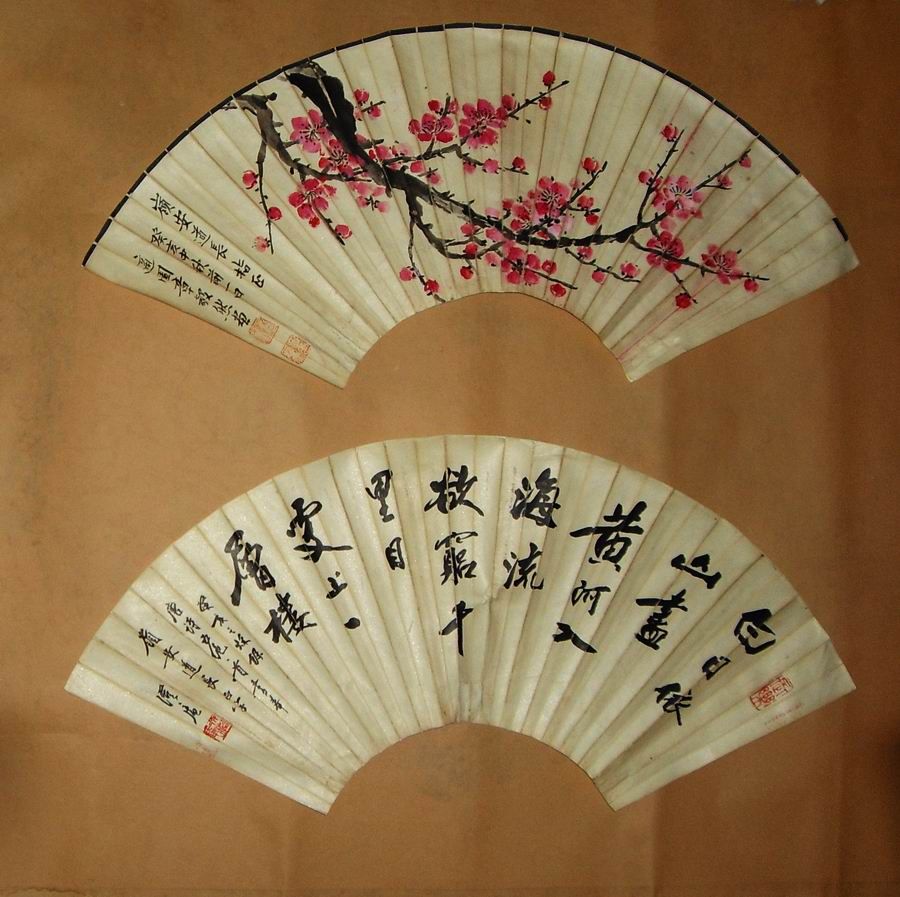 北美百万只海星染病自杀 撕裂自己内脏喷出(图)“熊猫体育公司”(图2) 熊猫体育首页