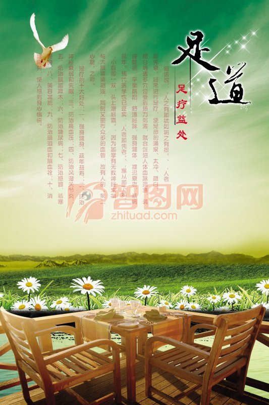 熊猫体育公司:北美2.5公尺长蓝色森王蛇吞食响尾蛇(图)(图1) 熊猫体育公司