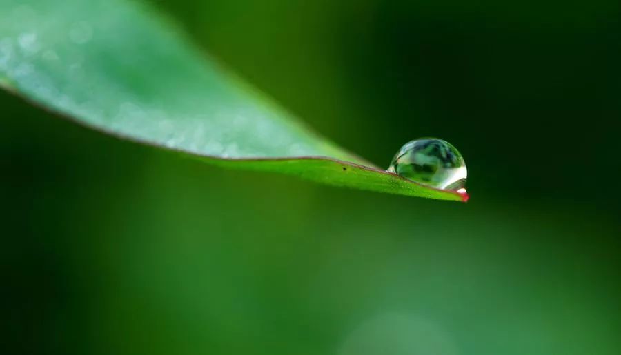 熊猫体育-乌克兰东部发生停火来最激烈交火7名士兵死亡(图1) 熊猫体育首页