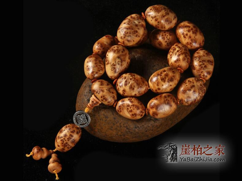 ‘熊猫体育公司’依托科技提升儿童学习体验 摩比思维着力打造素质教育新天地(图2) 熊猫体育