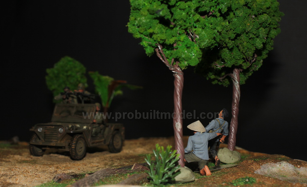 ‘熊猫体育首页’南非大白鲨猎杀海豹 场面堪比好莱坞大片(图3) 熊猫体育