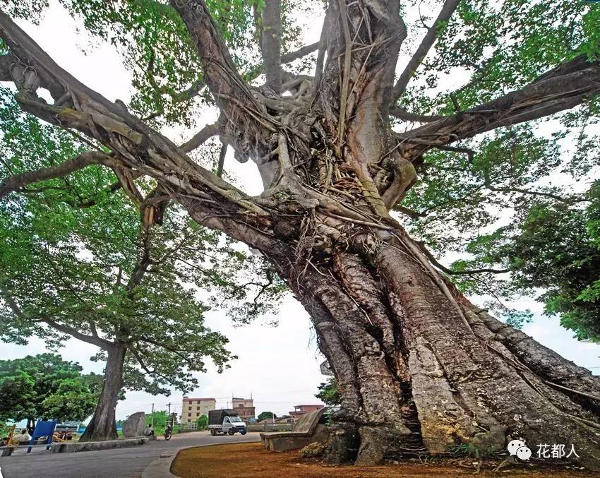 【熊猫体育公司】从小做到大,培训机构校长该如何做好治理(图2) 熊猫体育首页