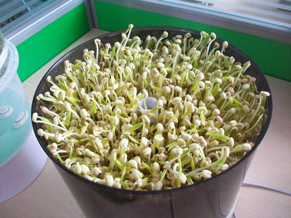 ‘熊猫体育首页’合肥家长零距离接触最强大脑 5秒强记探索右脑的神奇魅力(图1) 熊猫体育公司