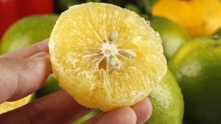 熊猫体育首页-WHO:寨卡病毒病已构成国际突发公共卫生事件(图1) 熊猫体育