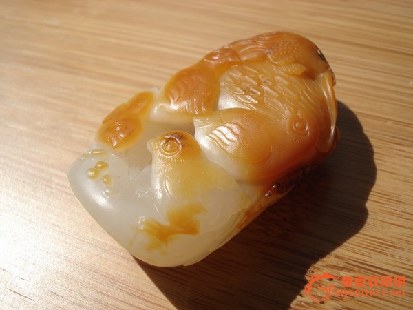 新华教育集团新华互联网科技30周年庆典华丽绽放:熊猫体育公司(图1) 熊猫体育