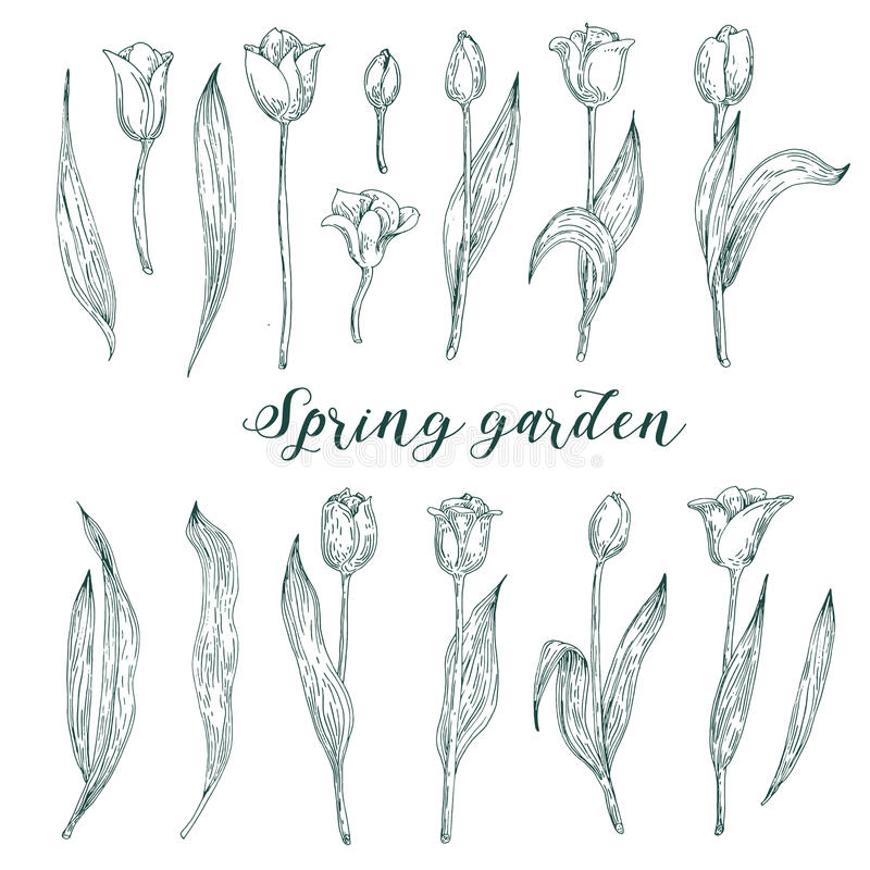 熊猫体育|2016考研报考指南:盘点适合理科女生报考的专业类型(图3) 熊猫体育公司