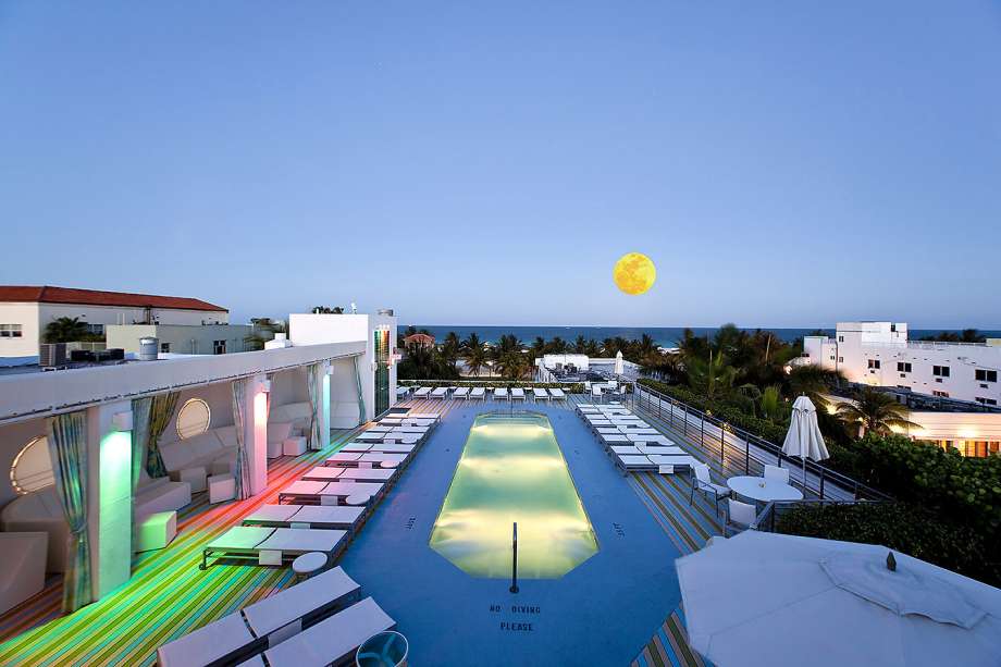 “迎女神送盆栽” 安徽学大教育献礼学校“女神”|熊猫体育(图4) 熊猫体育公司