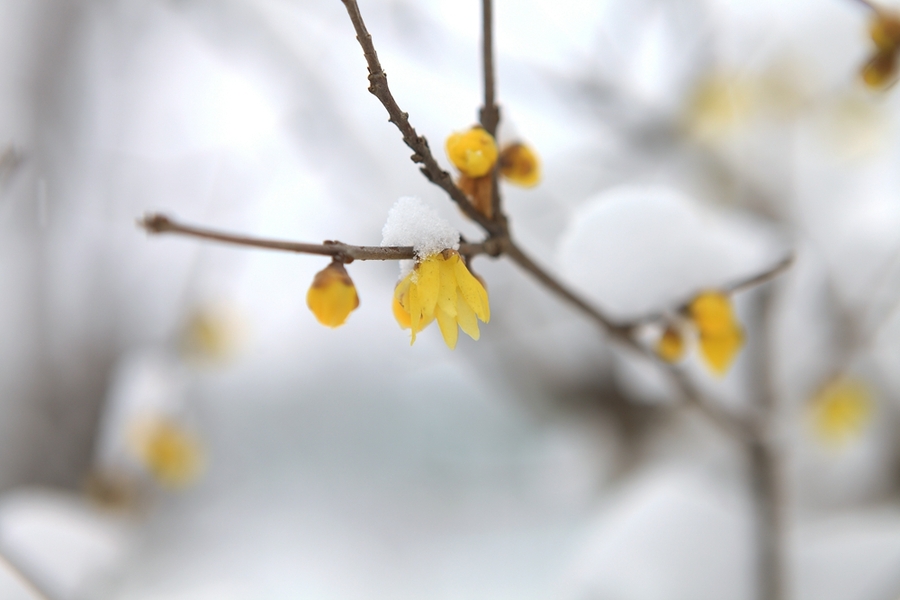 熊猫体育公司|学习传统文化增强企业凝聚力 军英八一中层骨干参观秋浦书院(图1) 熊猫体育首页