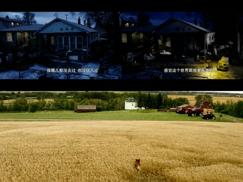 熊猫体育_激萌的萝莉!《龙王的工作!》动画化决定(图3) 熊猫体育公司