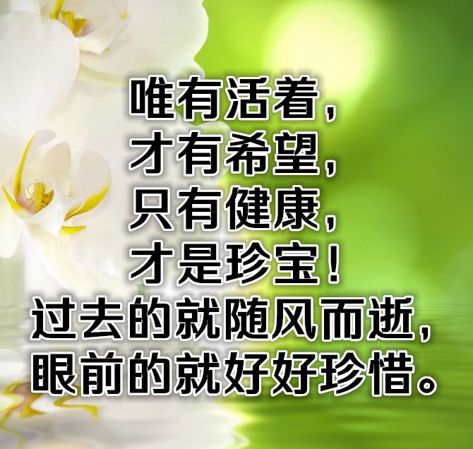 2016考研成绩查询:北京电影学院考研成绩查询入口|熊猫体育公司(图2) 熊猫体育公司
