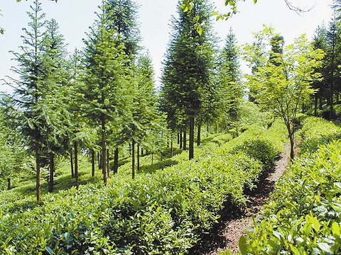 熊猫体育-美国版“母亲哺乳被猛批”出现 母亲大胆晒照反击(图)(图3) 熊猫体育公司