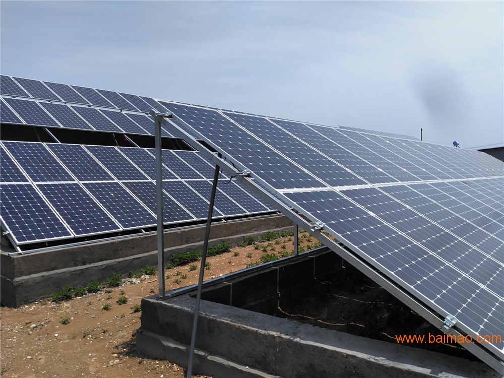 倪萍加拿大办书画展 十几幅画作被抢购(图)-熊猫体育首页(图2) 熊猫体育公司