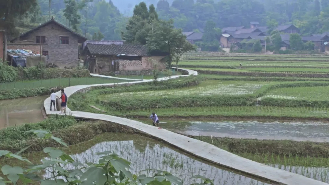 【熊猫体育公司】三星80亿美元收购美汽车零部件巨头哈曼获批(图1) 熊猫体育