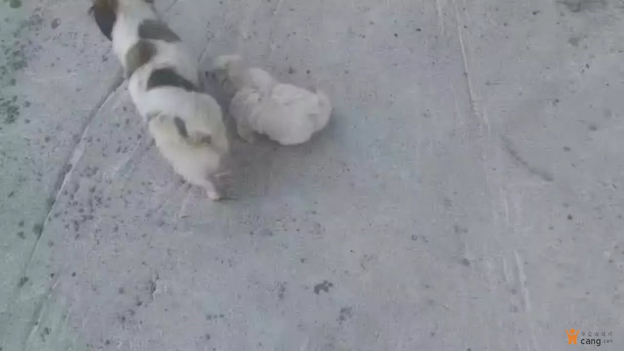 熊猫体育公司_
【襄行•三强一转】培训学习“练内功” 分享所学“促生长” —襄垣农商银行大堂司理厅堂营销技巧专项培训学习感悟(第三期)(图5) 熊猫体育首页