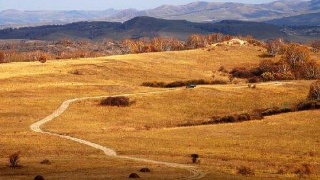 邦树全脑教育,致力于6-16周岁孩子全脑学习理念的普及和推广“熊猫体育”(图1) 熊猫体育公司