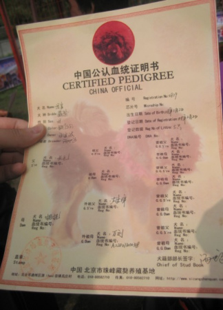 熊猫体育首页_LILY思维英语教学原理(图3) 熊猫体育