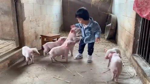 熊猫体育公司
